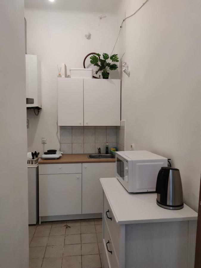 Room With Privat Shower In 3 Rooms Apartment 维也纳 外观 照片