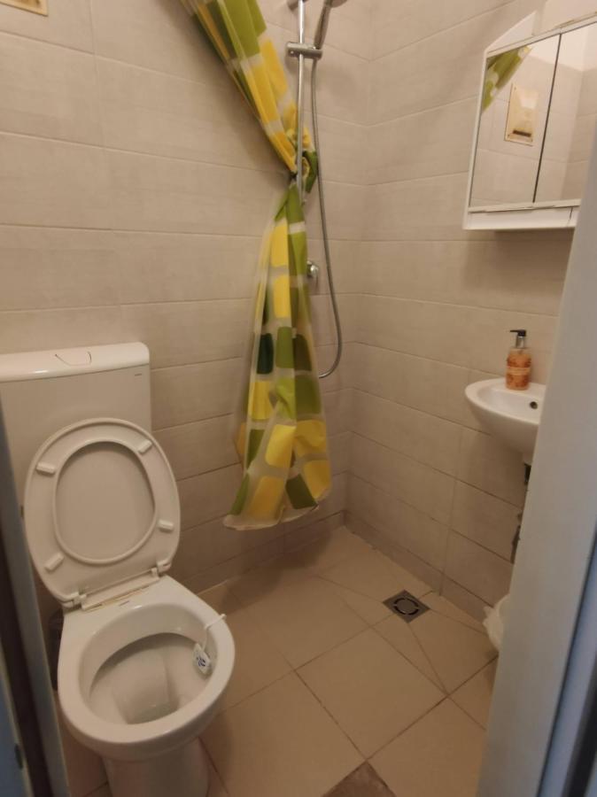 Room With Privat Shower In 3 Rooms Apartment 维也纳 外观 照片